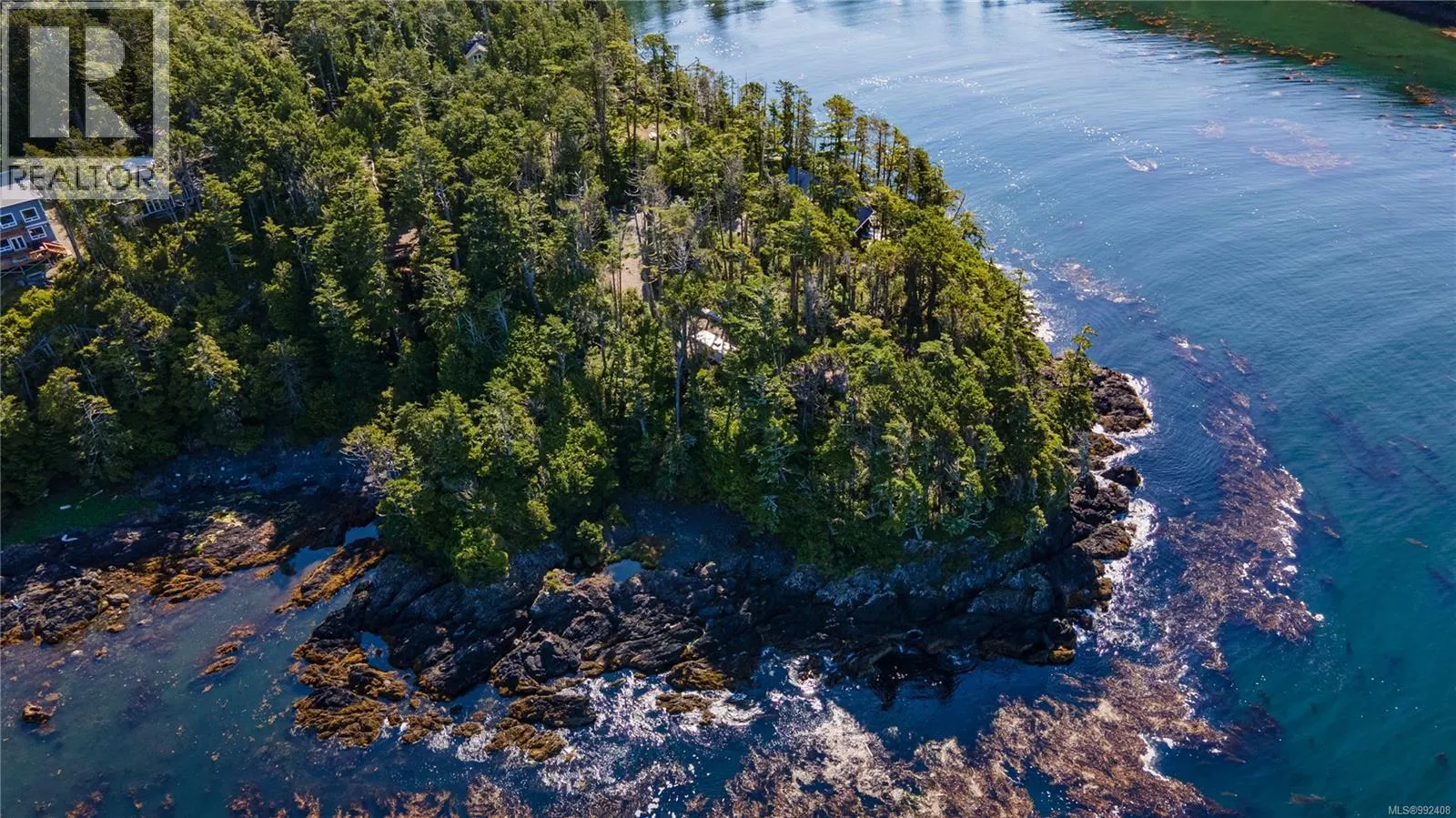 392 Reef Point Rd
