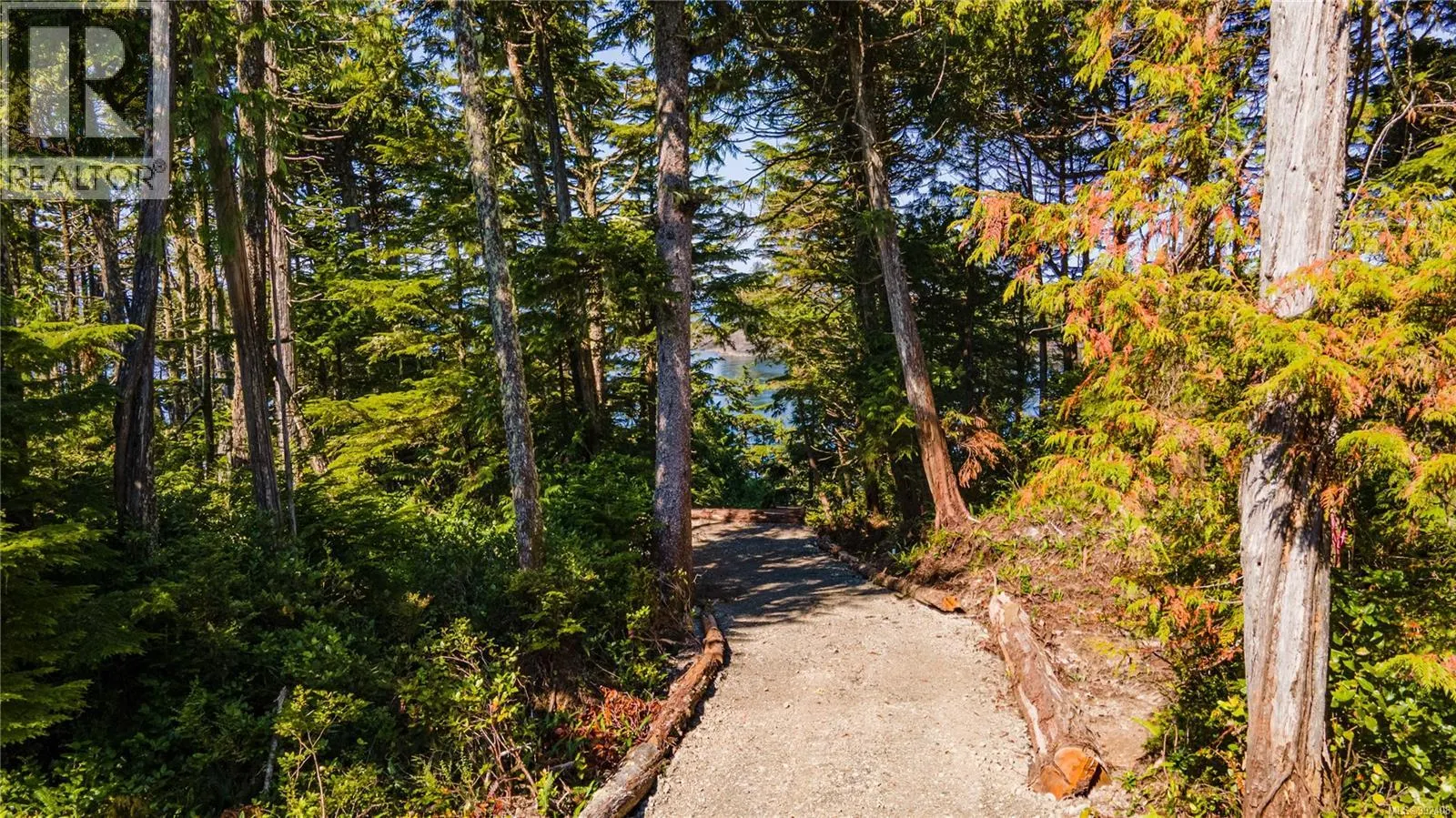 392 Reef Point Rd