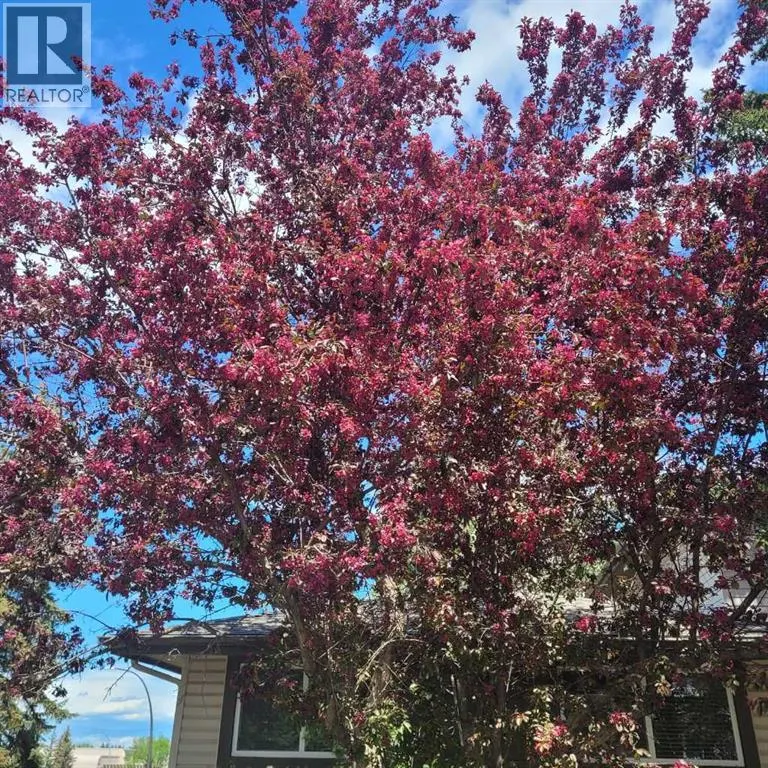10, 310 Brookmere Road SW