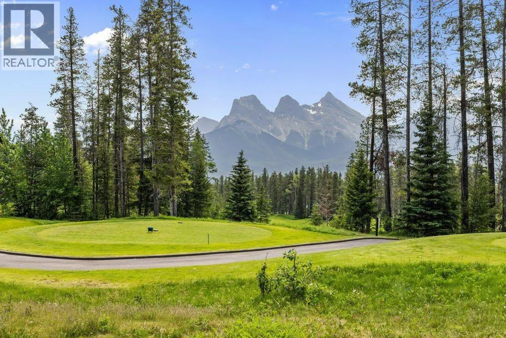 517 Silvertip Pointe