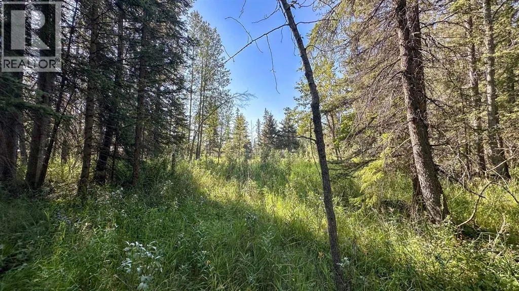 33227 Range Road 52 (River Road)
