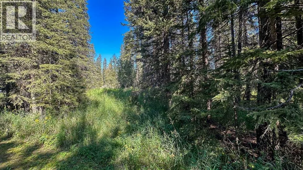 33227 Range Road 52 (River Road)