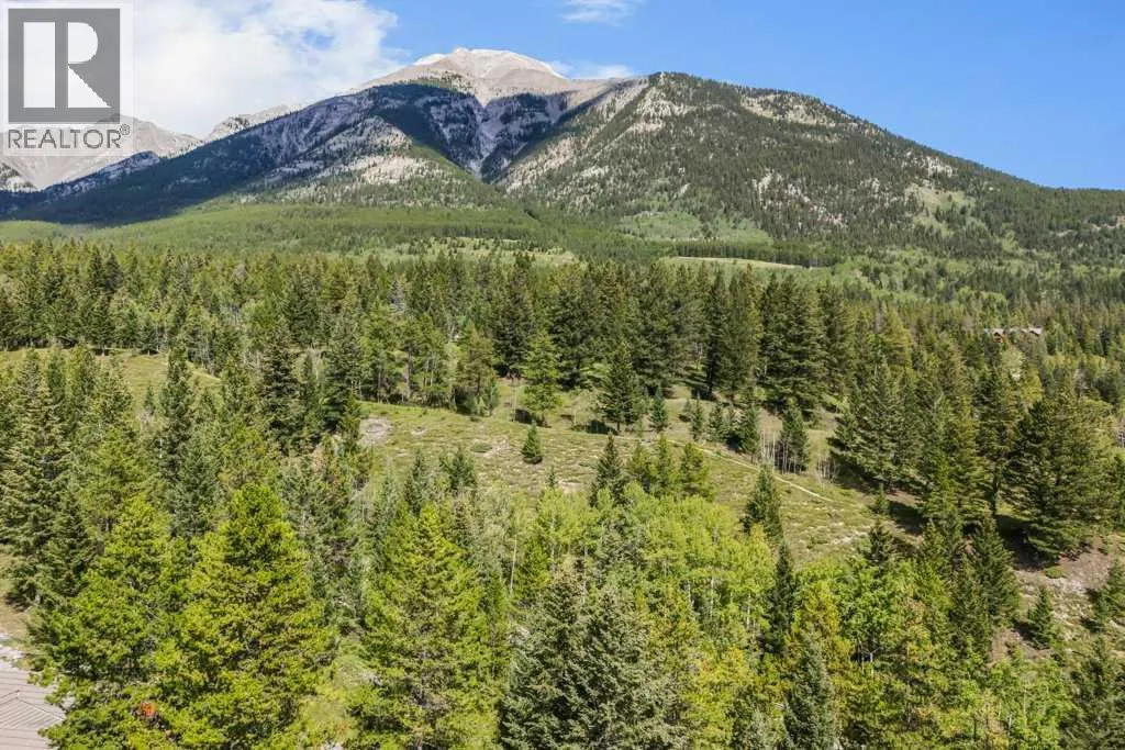 24 Blue Grouse Ridge