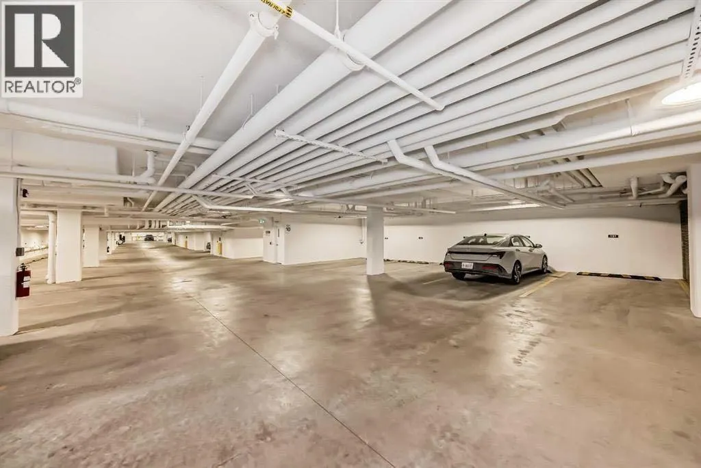 2409, 395 Skyview Parkway NE