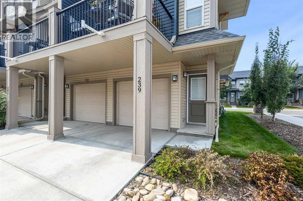 239 Legacy Common SE
