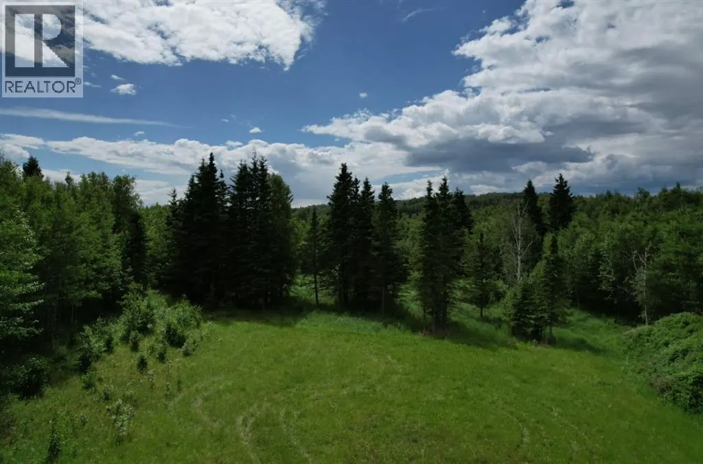 19 Mountain Springs