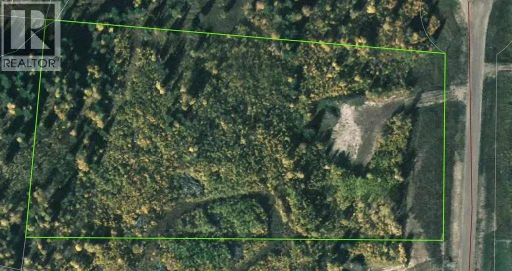 19 Mountain Springs