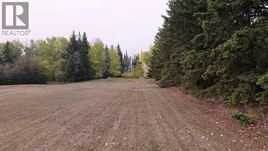 81404 rr223