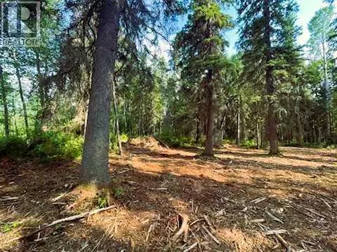 931 Wolf Trail