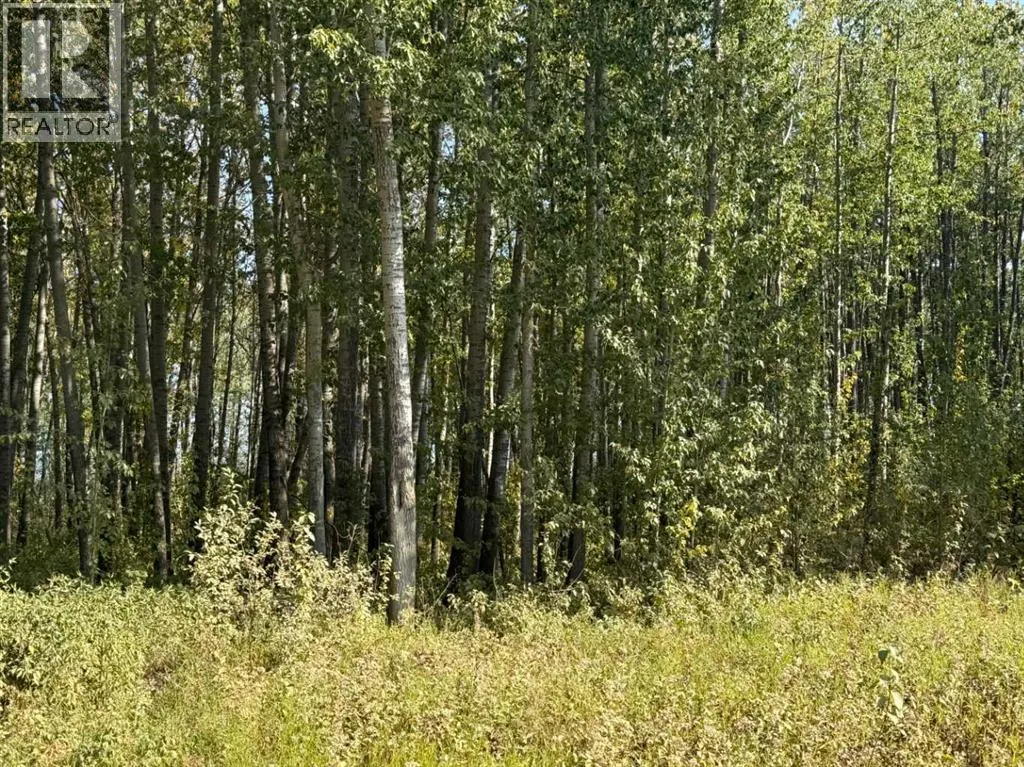 ON Range Road 215