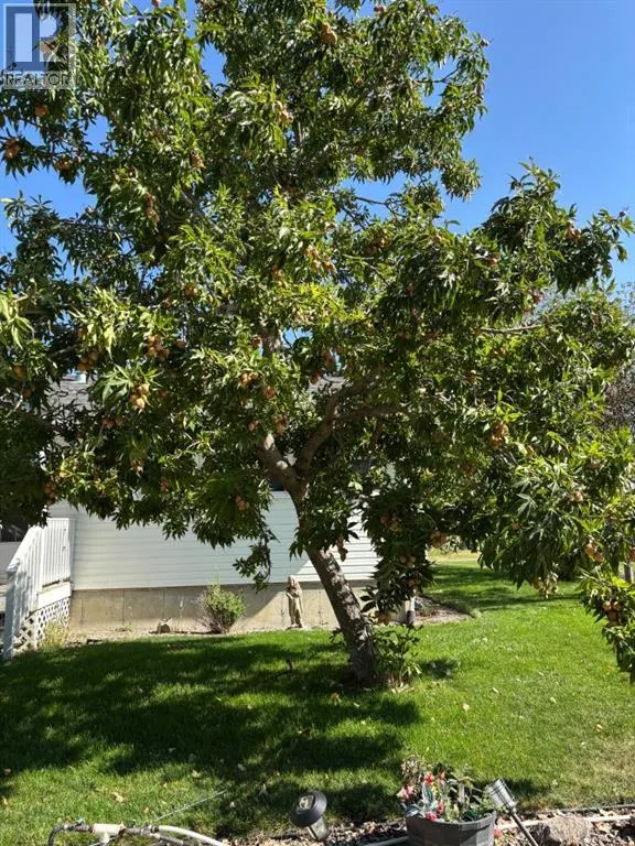 253 W 4 Avenue S