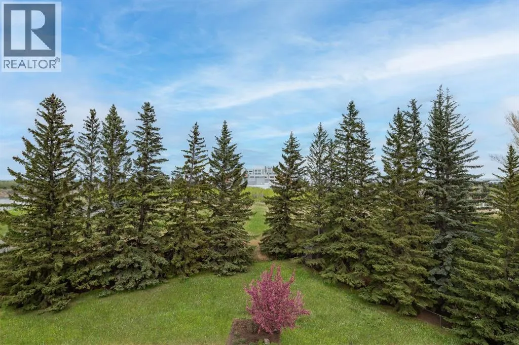 4N, 222 Eagle Ridge Drive SW