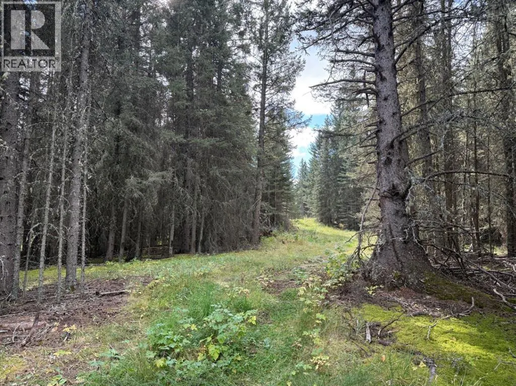 Lot 4 Jamieson Road