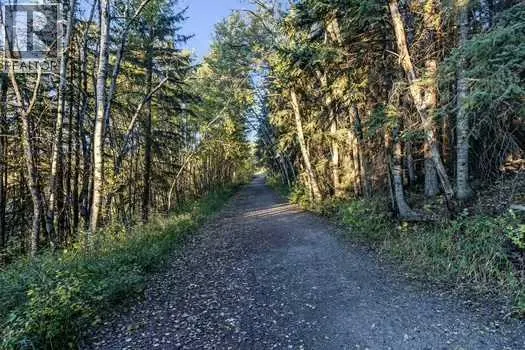 41 Evergreen Mount SW