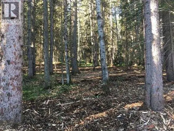 4 Wintergreen Way