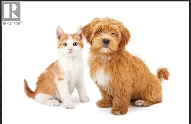 123 Pet Specialty with Grooming Way