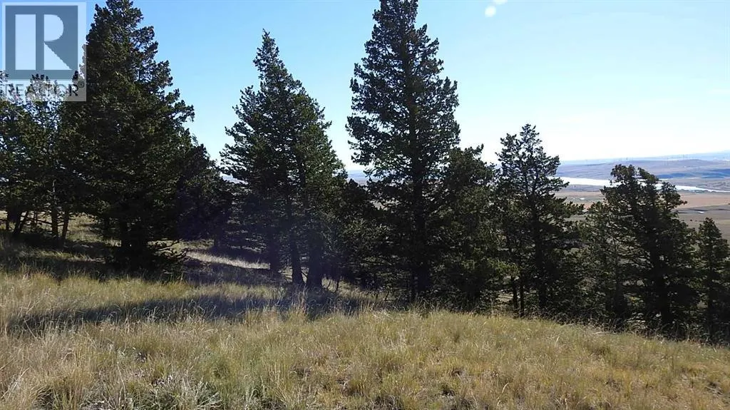 256 Acres Snake Trail