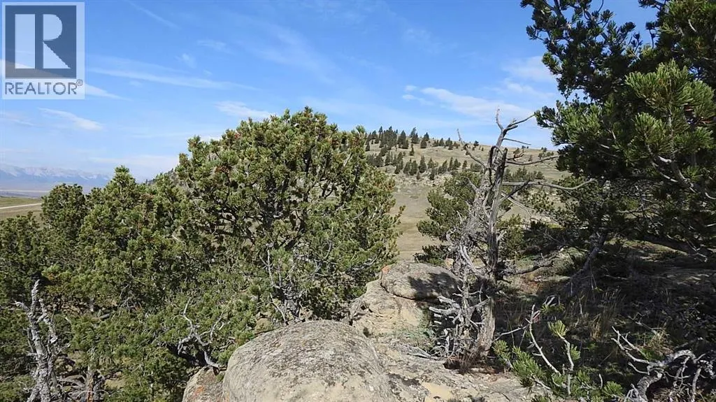 256 Acres Snake Trail