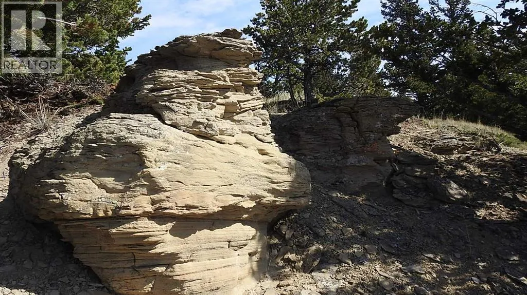 256 Acres Snake Trail