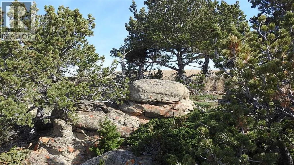 256 Acres Snake Trail
