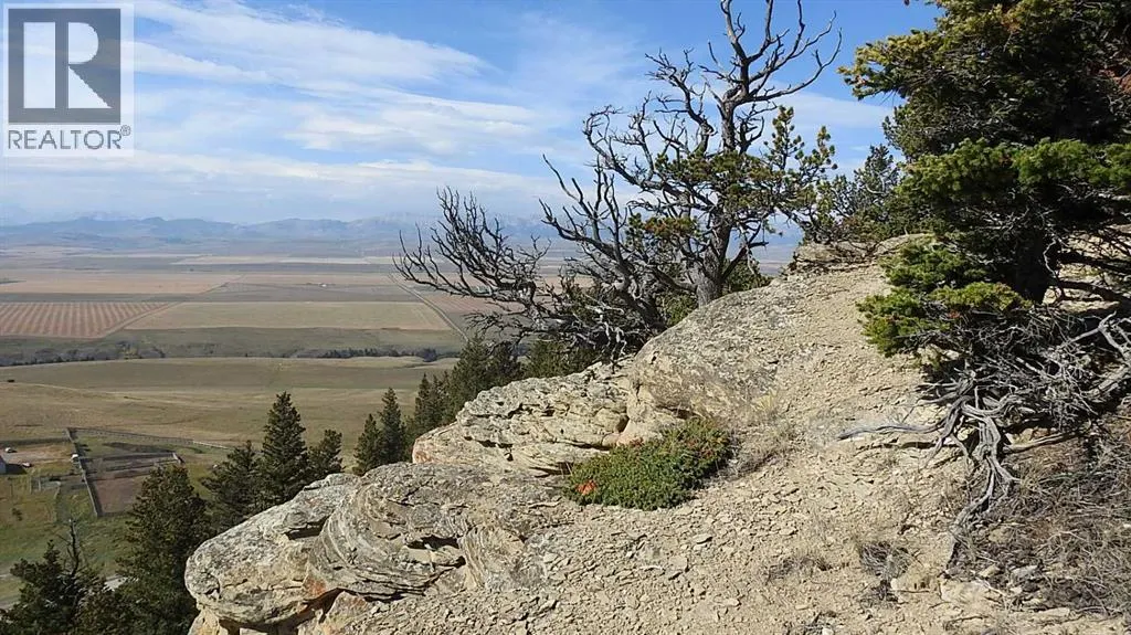 256 Acres Snake Trail
