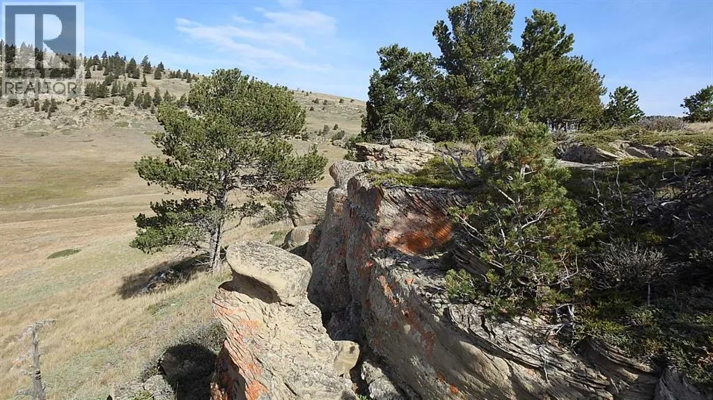 256 Acres Snake Trail