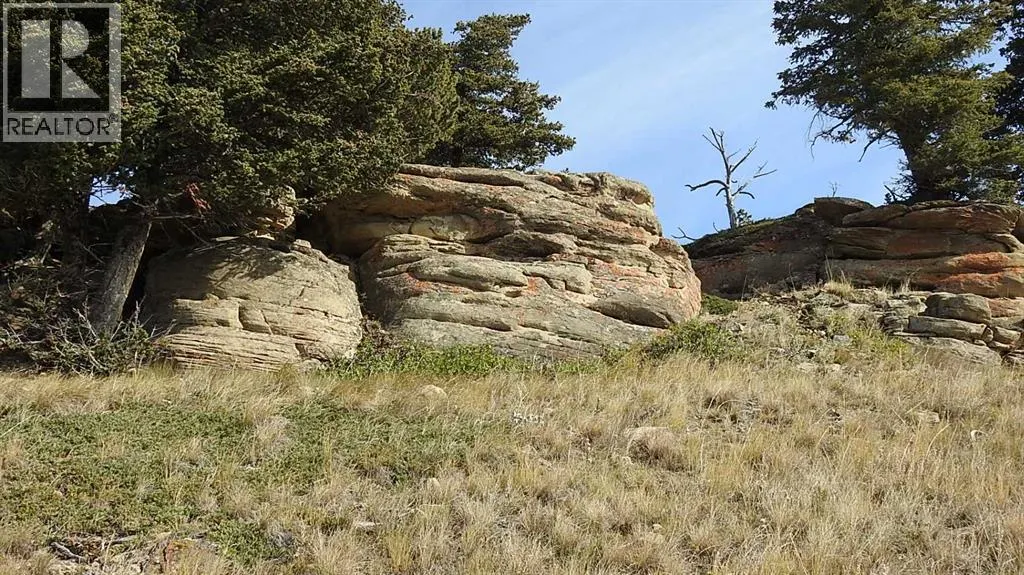 256 Acres Snake Trail
