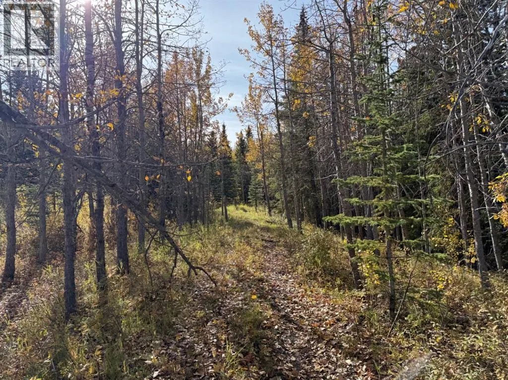 160 Acres,  242 Township