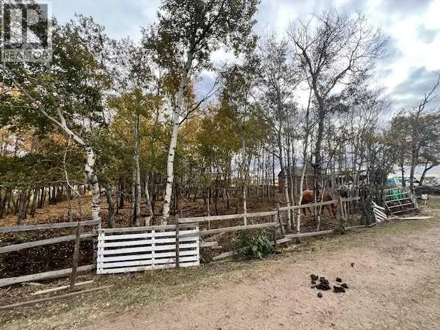 12229 Twp Rd 484