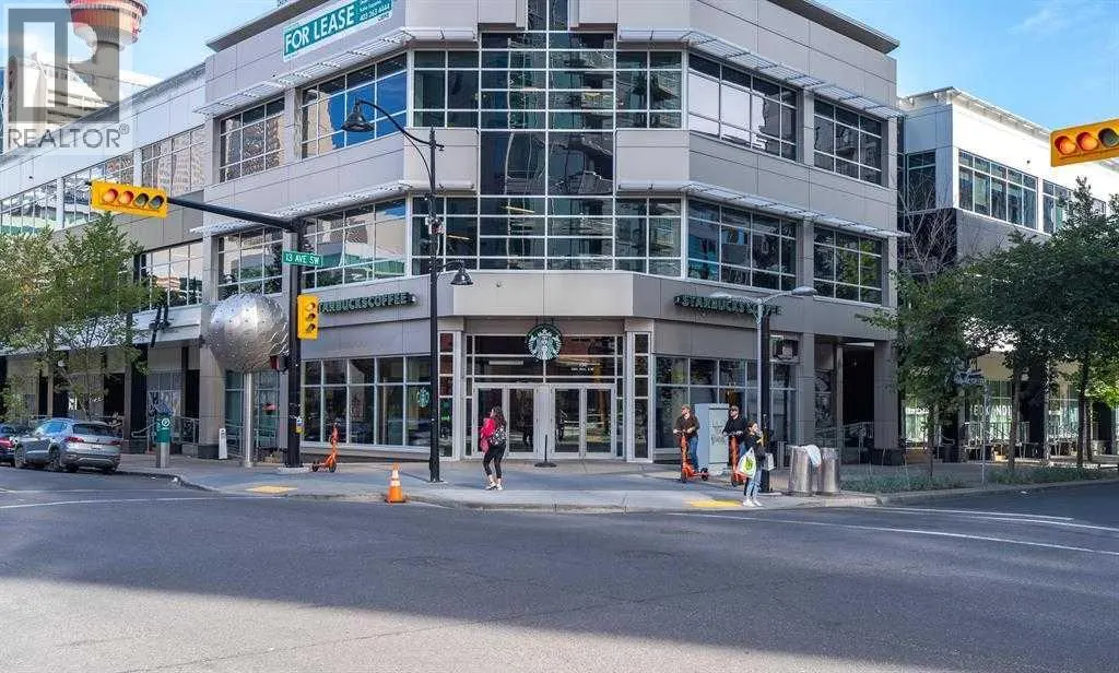 1307, 215 13 Avenue SW