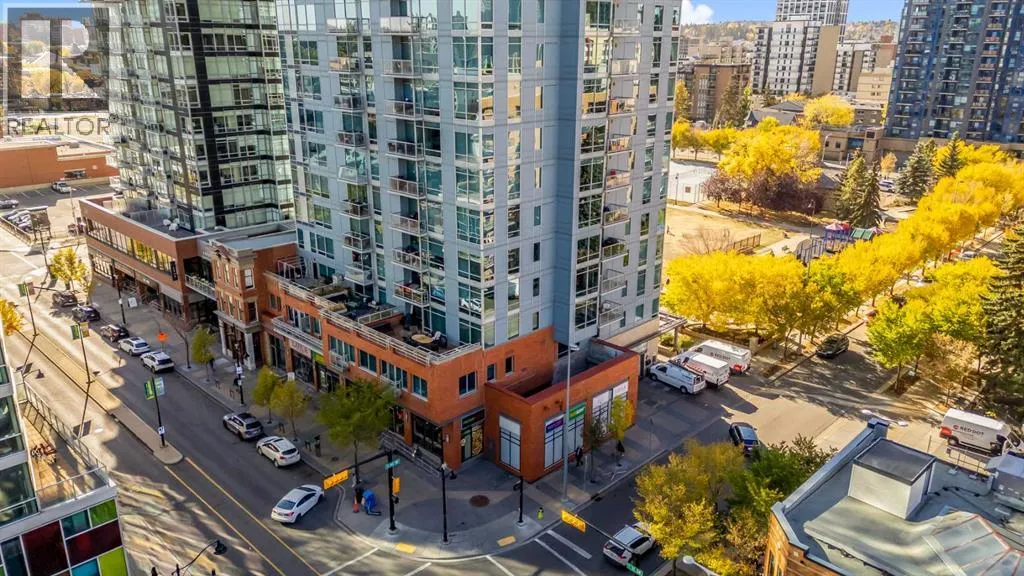 1307, 215 13 Avenue SW
