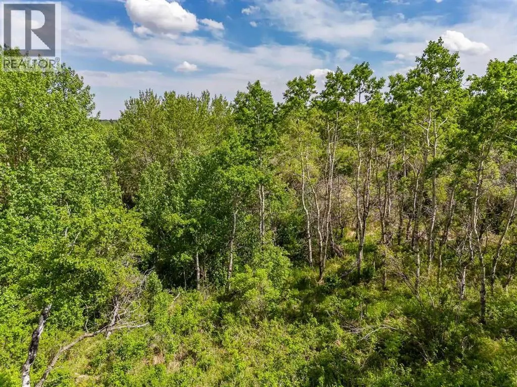 113 Silverhorn Ridge
