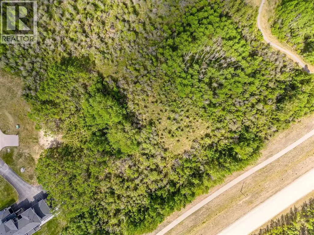 113 Silverhorn Ridge