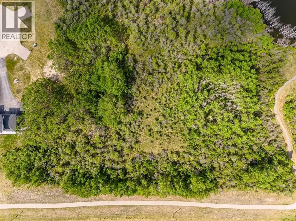 113 Silverhorn Ridge