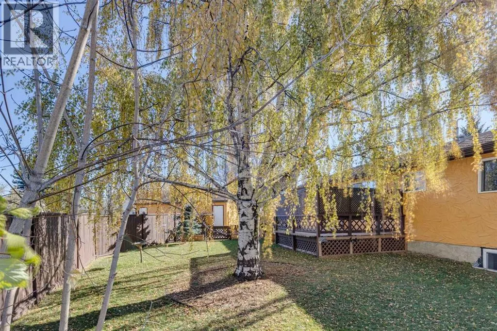 8 Mist Road