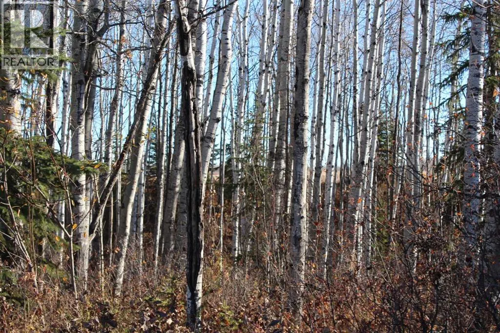 913007, Range Road 222