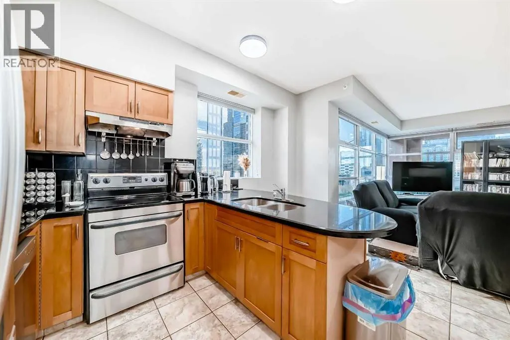 509, 205 Riverfront Avenue SW
