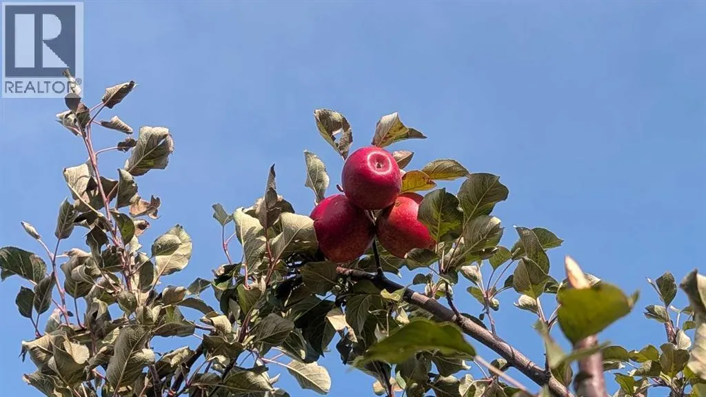 430 Pinehill Road NE