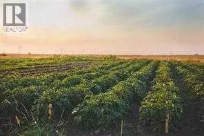 264169 Range Road 273