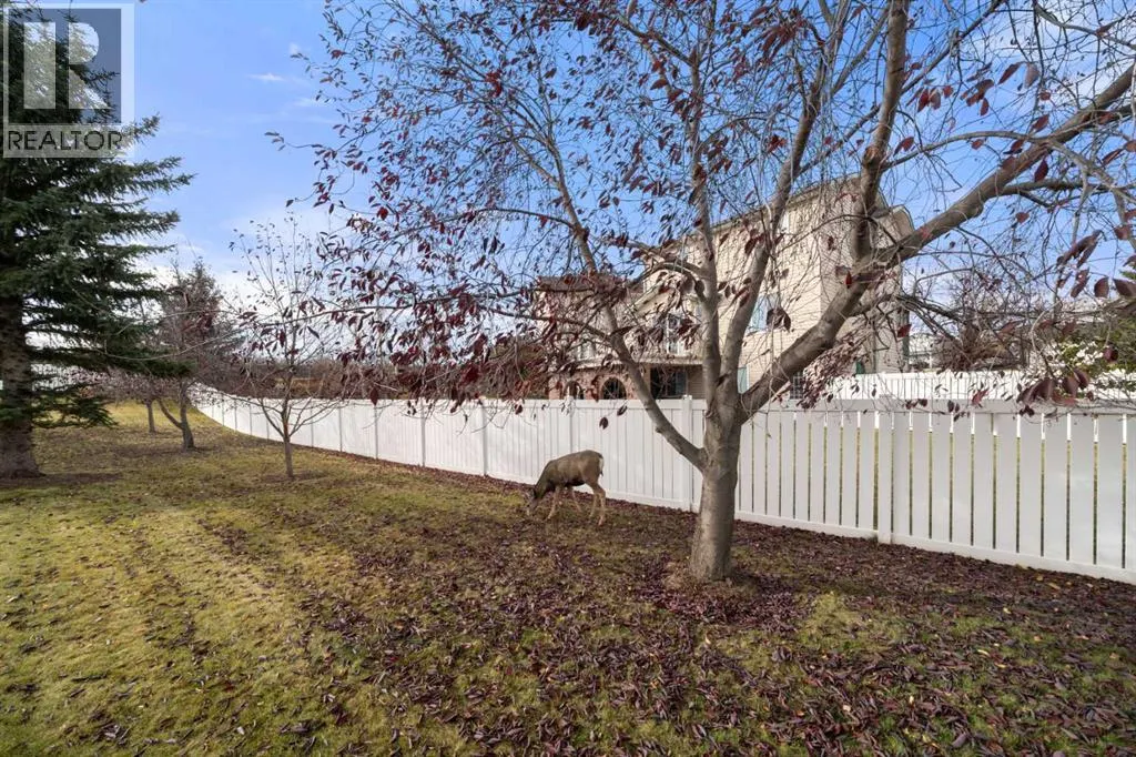 634 Sheep River Mews