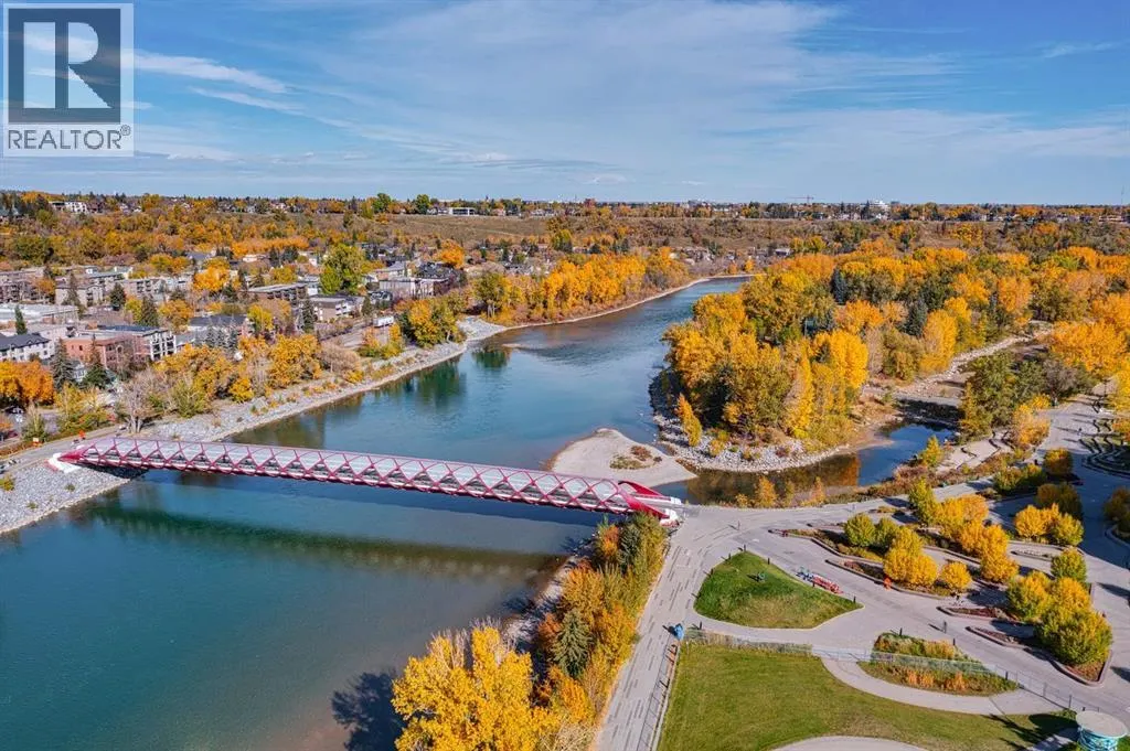 412, 738 1 Avenue SW