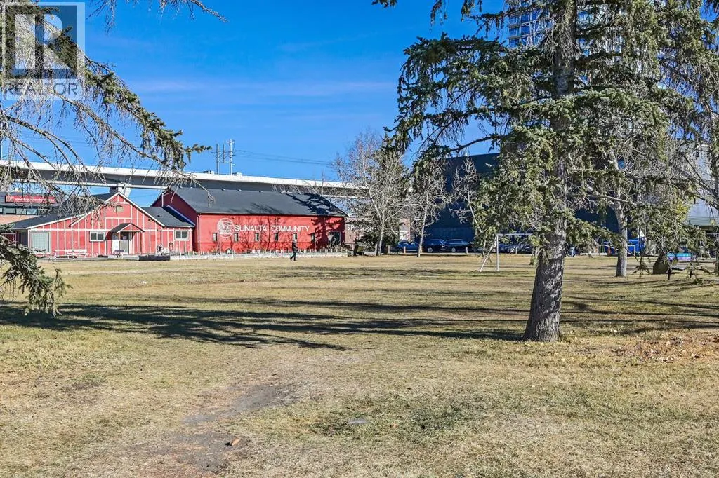 303, 1706 11 Avenue SW