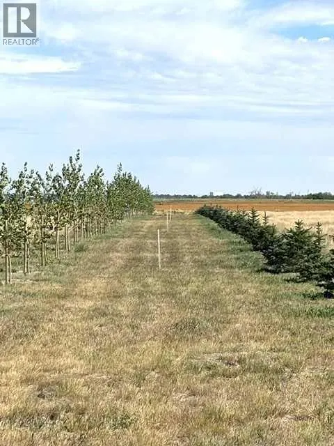 Near Coalhurst RR223