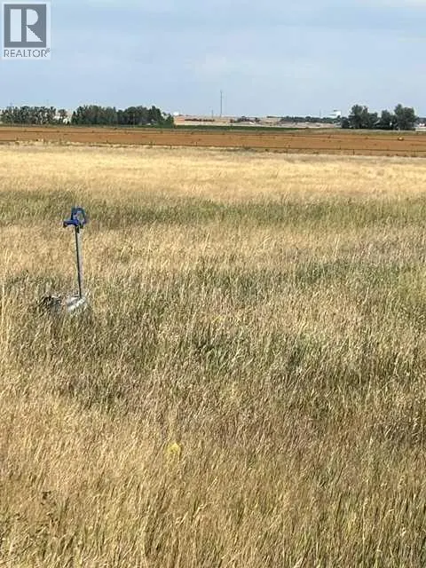Near Coalhurst RR223