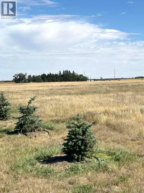 Near Coalhurst RR223