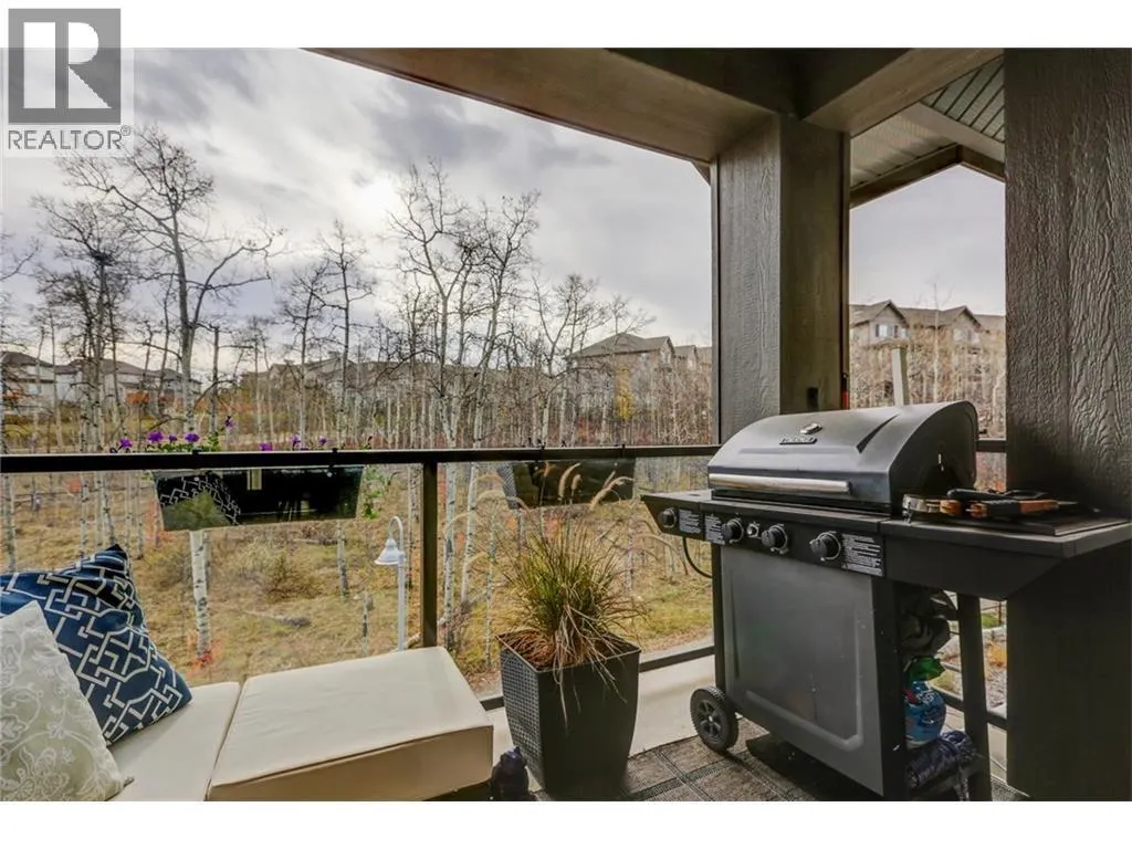 313, 25 Aspenmont Heights SW