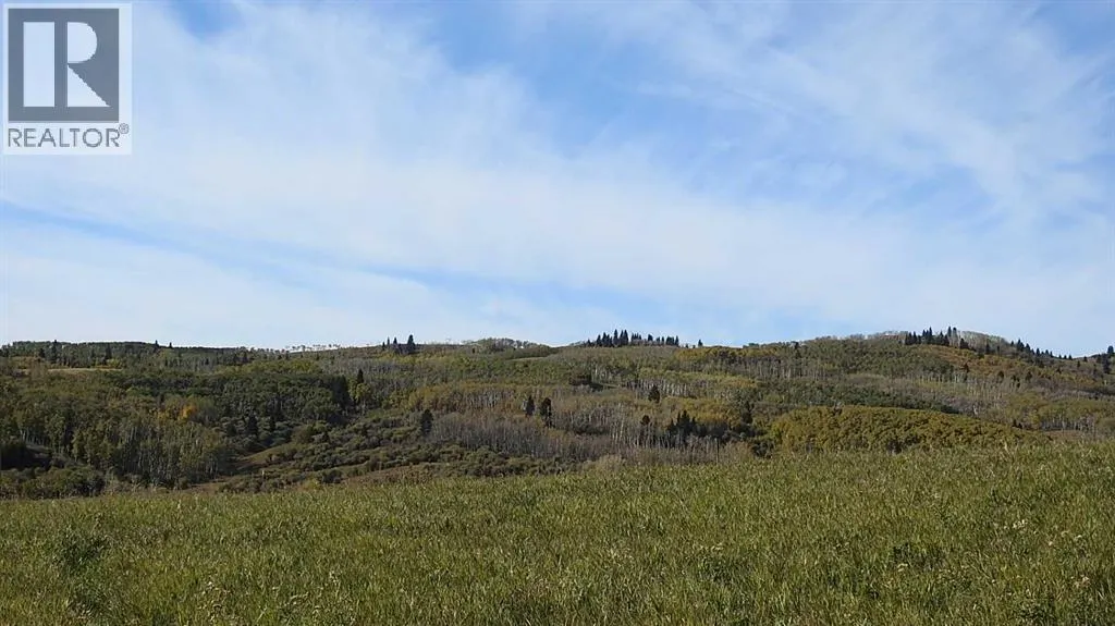 Basin Road
