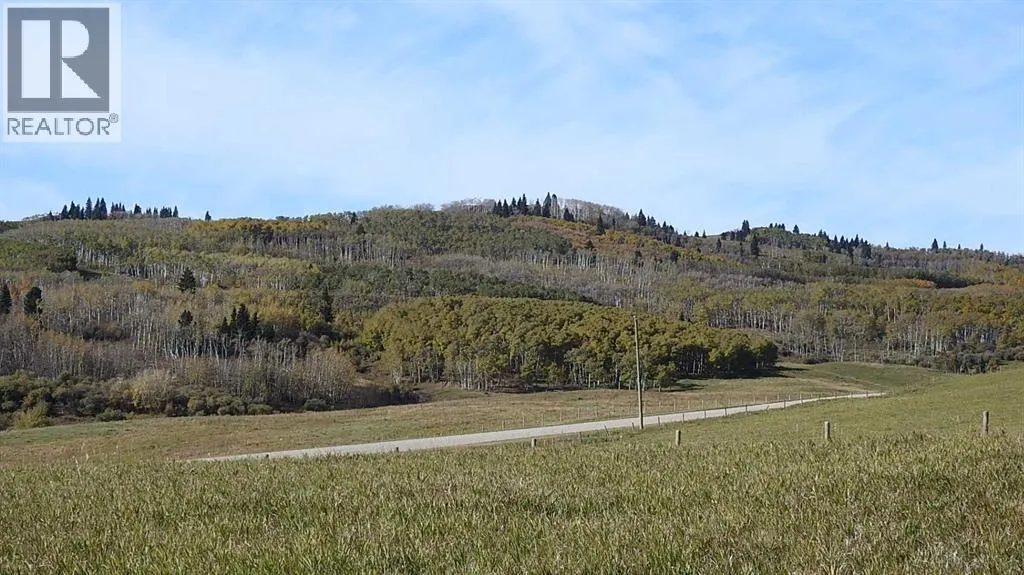 Basin Road