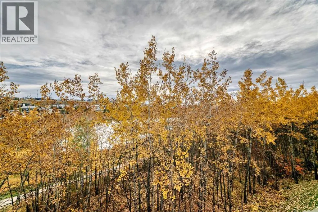 216, 45 Aspenmont Heights SW