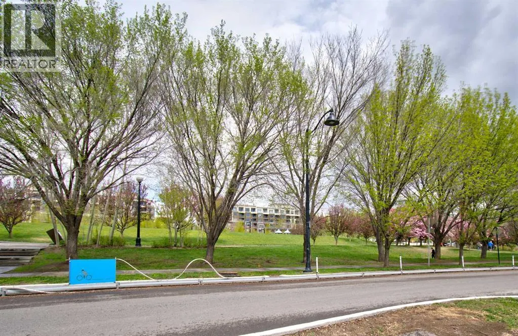515, 955 Mcpherson Road NE